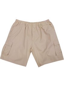 5317 EW BASIC CARGO 