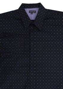 54 CIPOLLINI 1662 DOBBY LS