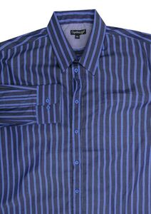 54 CIPOLLINI 1664 STRIPE LS