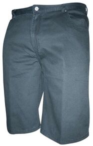 N9 BLAZER 4M9304165 NAUTIC SHORT (185)-casual-shorts-Site & Site1