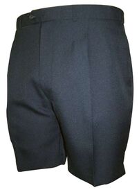 CITY CLUB FEDEX COAST-fitted-waist-shorts-Site & Site1