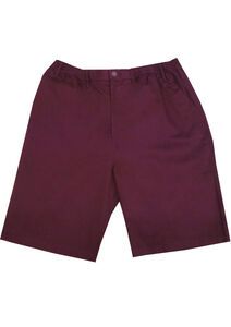 34 ESPIONAGE ST06 CHINO TWILL SHORT