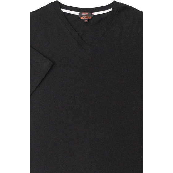 31 BEN SHERMAN 2013 V NECK TEE