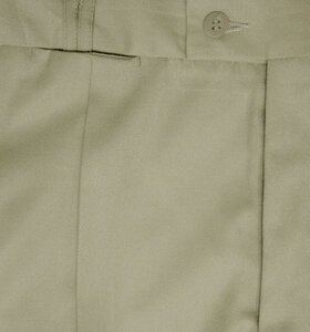 BRACKS 421T MOLONG PLEAT