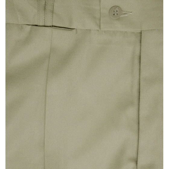 BRACKS 421T MOLONG PLEAT