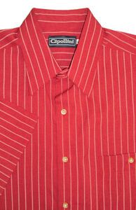 CIPOLLINI 1296 STRIPE SS