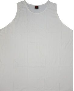 ELLUSION COTTON SINGLET