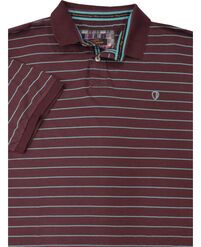 BEN SHERMAN MB2208 STRIPE SS POLO-polo-shirts-Site & Site1
