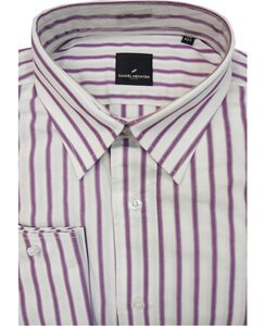 O1 DANIEL HECHTER DS381 TALL RIBBON 417
