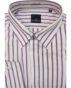 O1 DANIEL HECHTER DS381 TALL RIBBON 417