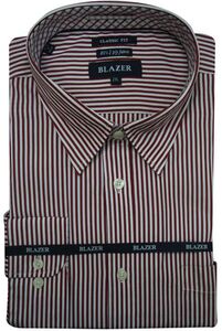 30 BLAZER 229001 WILLIAM LS (250