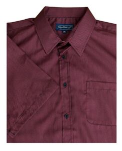 N2 CIPOLLINI 1558 MINICHECK SS 520