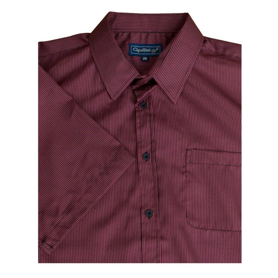 N2 CIPOLLINI 1558 MINICHECK SS 520