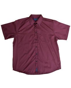 N2 CIPOLLINI 1558 MINICHECK SS 520