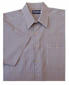 D2 CIPOLLINI 1532 GINGHAM SS 520