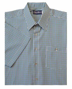 D2 CIPOLLINI 1532 GINGHAM SS 520