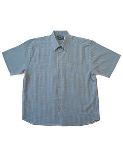 D2 CIPOLLINI 1532 GINGHAM SS 520