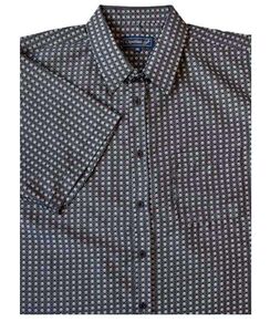 D2 CIPOLLINI 1539 PRINT SS 520