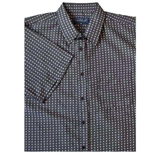 D2 CIPOLLINI 1539 PRINT SS 520