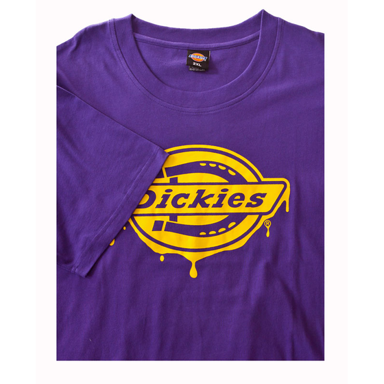 92 DICKIES K3120102 DALI TSHIRT 518