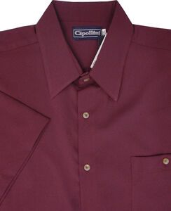 D2 CIPOLLINI 1294 DOBBY SS