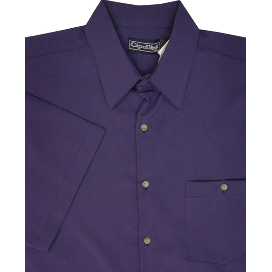 D2 CIPOLLINI 1294 DOBBY SS