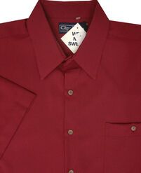 D2 CIPOLLINI 1294 DOBBY SS-casual-dress-Site & Site1