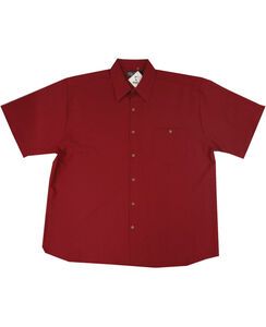 D2 CIPOLLINI 1294 DOBBY SS