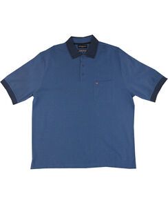 D2 BREAKAWAY 60483 PLAIN POLO 534