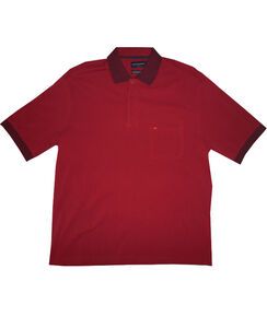 D2 BREAKAWAY 60483 PLAIN POLO 534