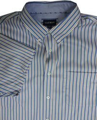 23 GAZMAN SSHW13009 STRIPE SS 564-casual-dress-Site & Site1