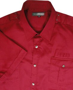 13 NINO PERITZI 2203 SELF STRIPE EPP SS