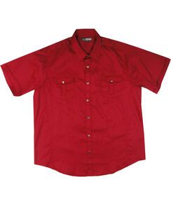 13 NINO PERITZI 2203 SELF STRIPE EPP SS