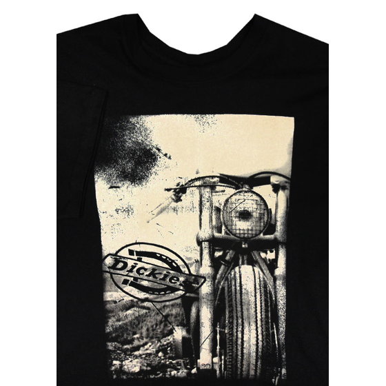 43 DICKIES K1130112 FREEBIRD TSHIRT 569