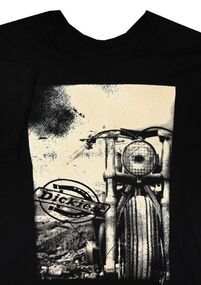 43 DICKIES K1130112 FREEBIRD TSHIRT 569-t-shirts,-tanks-and-singlets-Site & Site1
