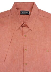 O2 CIPOLLINI 1295 WINDOW CHECK SS 640