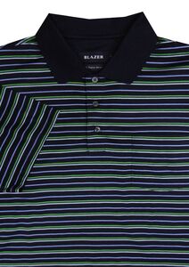 93 BLAZER 4M13553557 DUANE POLO 608