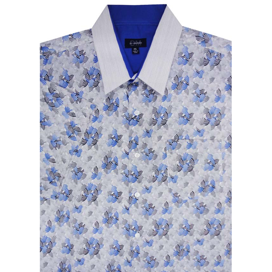 D3 DUMAURIER 115031 SHELL SS