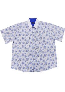 D3 DUMAURIER 115031 SHELL SS