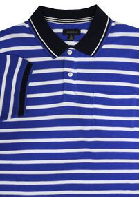 D3 BACK BAY G430118 STRIPE POLO-polo-shirts-Site & Site1