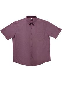 N3 PERRONE 3196 DB COLLAR SHIRT SS
